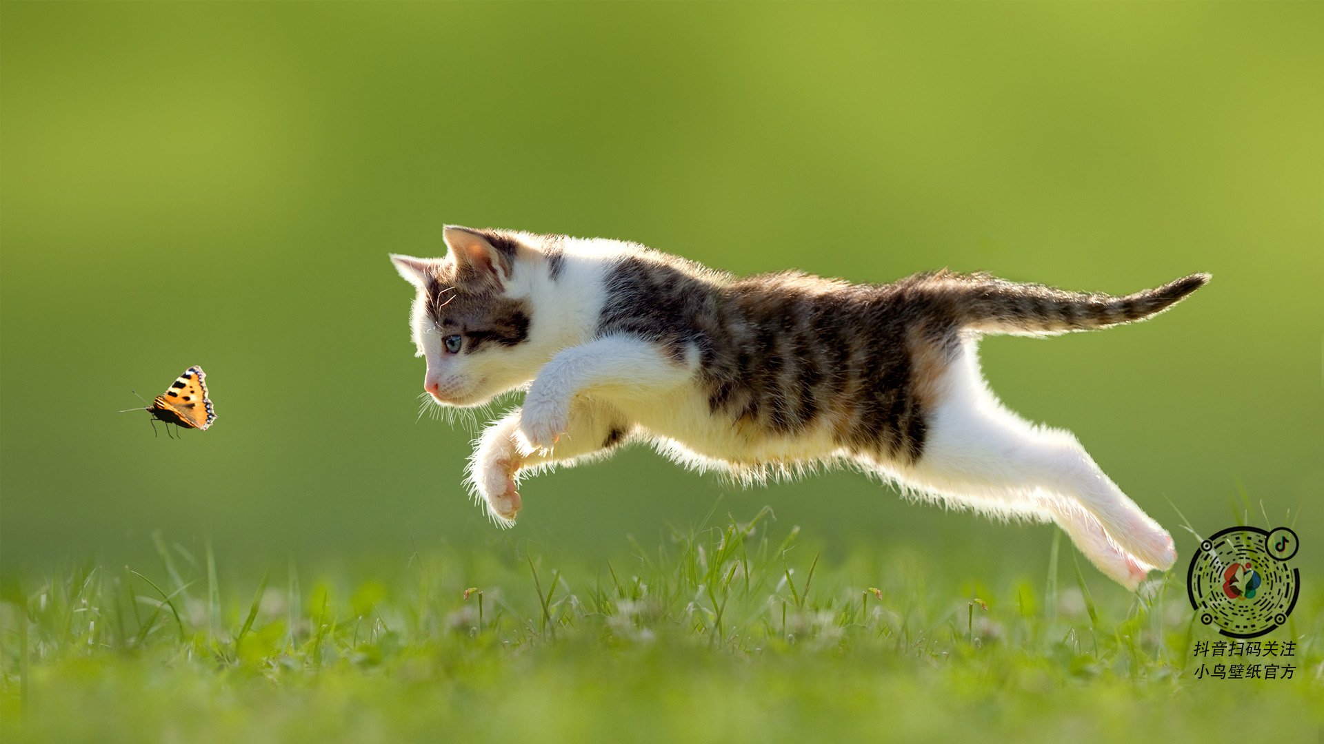 萨卡关键回合不手软,韩国力量连续压制巴萨,新一代的冷静与冲击力如何颠覆旧秩序