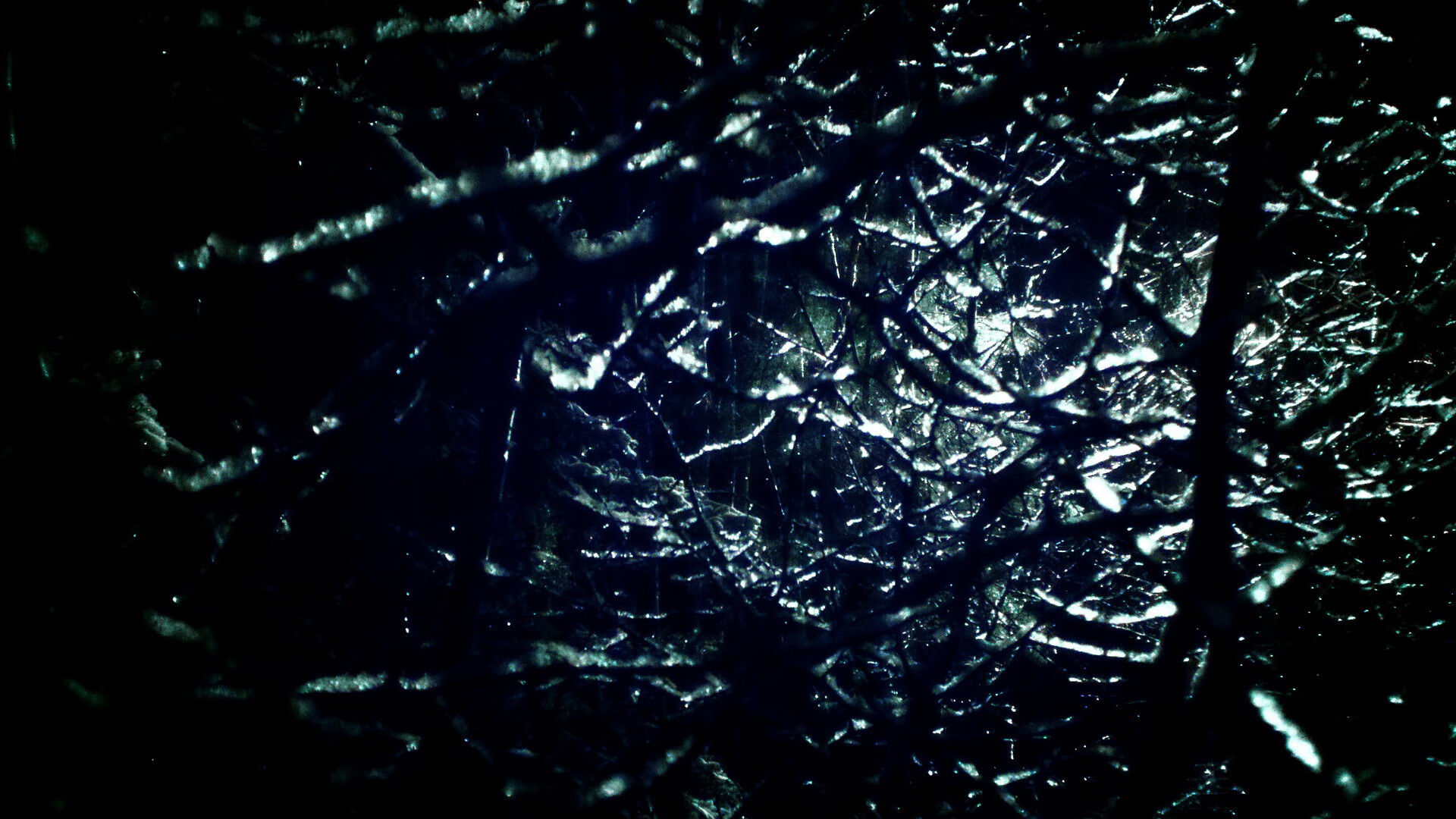 德甲决战日，三个大陆，同一粒尘埃