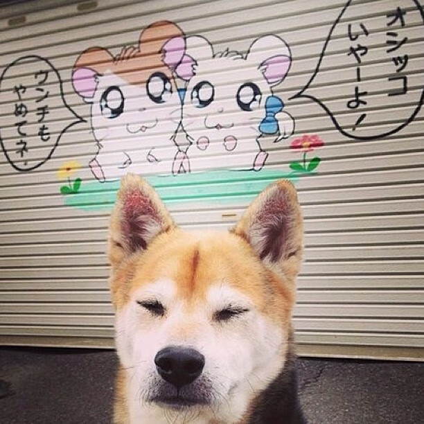 开云体育官网-封喉之役，贝恩逆天改命，广东用冠军级表现强行终结北京队