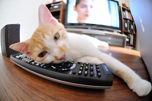 冰与火之歌,当篮球神话碰上东方龙,火力有限的国王如何上演统治力?