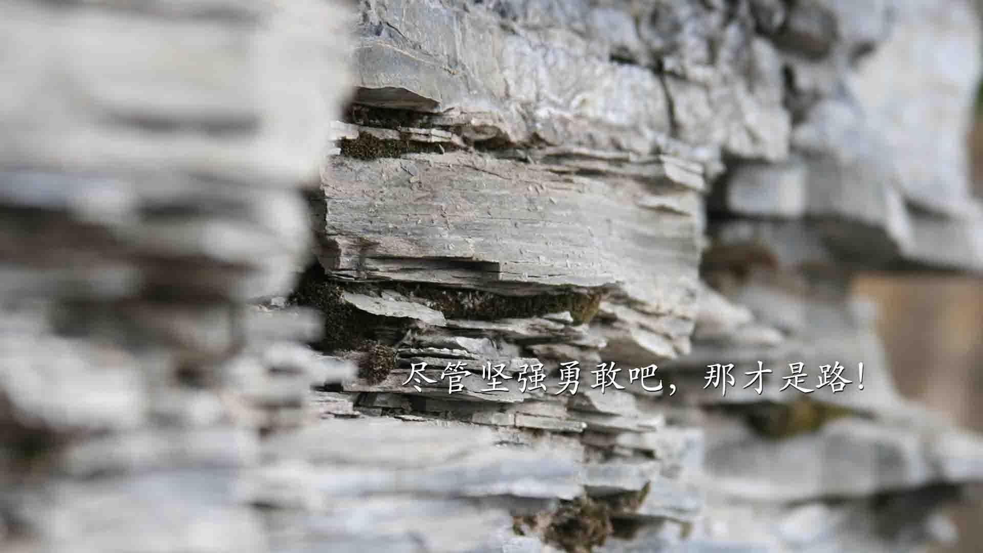 开云体育在线-金球定江山,赖斯一球定音彰显超巨本色,桑巴军团终结中国前行路