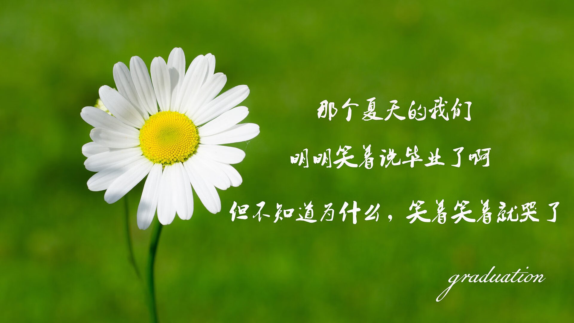 紫百合提前掐灭南大王的火焰，巴尔韦德一锤定音