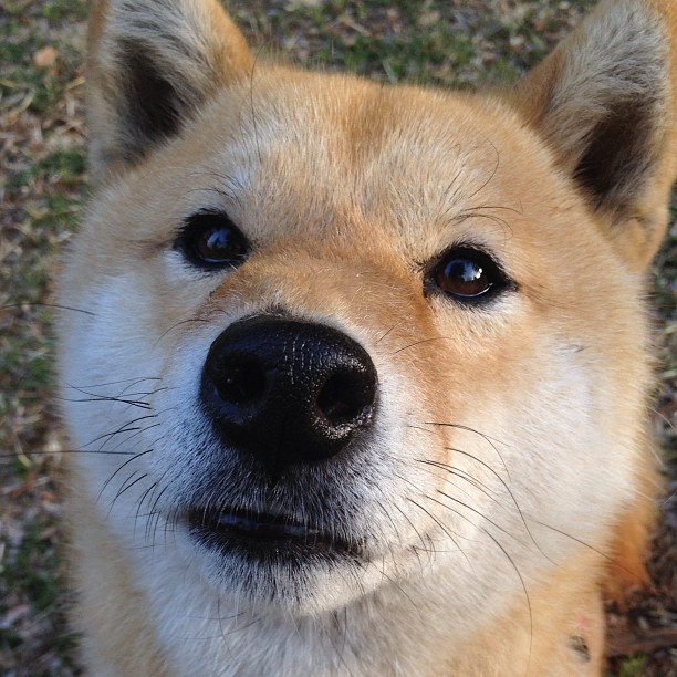 开云平台-独行者的魂魄,欧冠淘汰赛之夜的卡拉斯科