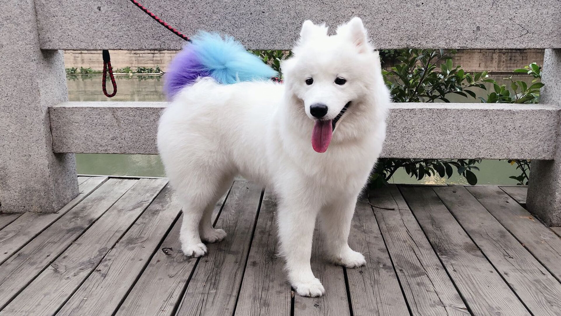 开云体育在线-虽败犹荣却难敌宿命?布伦森狂砍47分,却暴露独行侠冠军拼图致命缺口