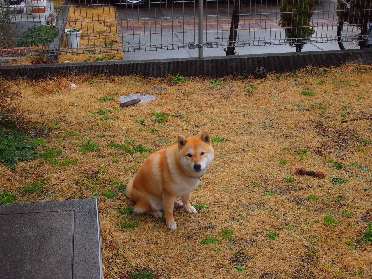 开云体育官网-夜空燃烧的独角兽，文班亚马唯一之夜