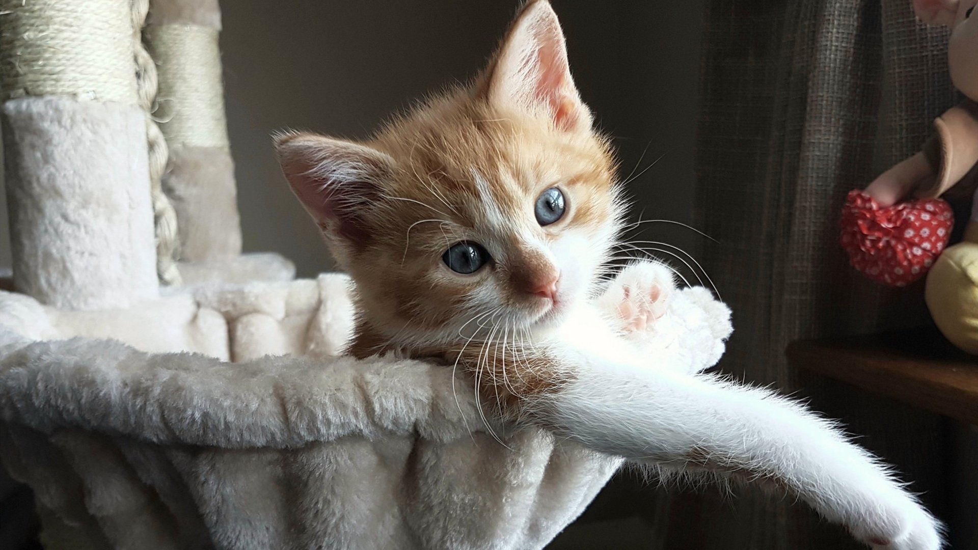 双向未来,从辽宁到马刺,一场跨越时空的篮球对话