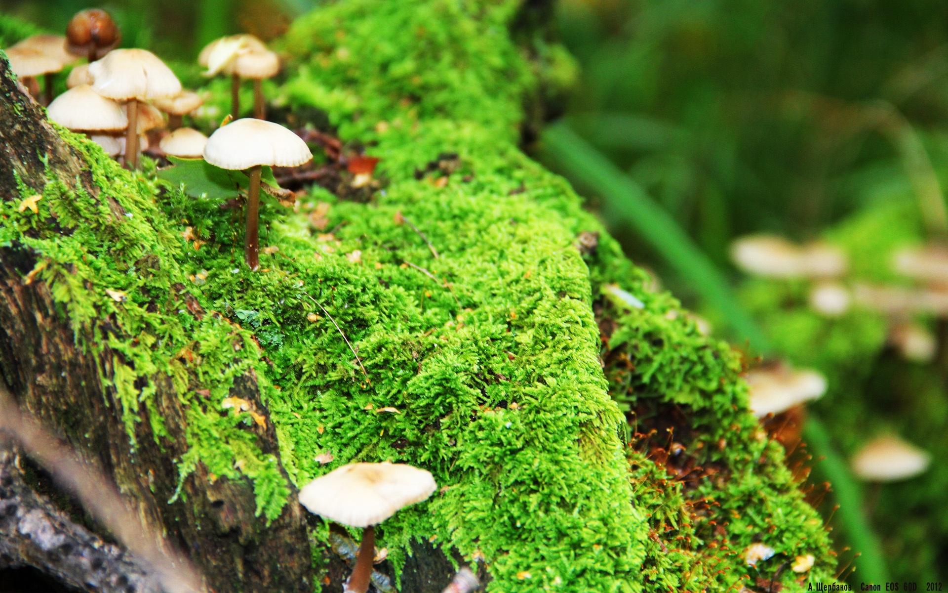 开云-从弃子到救世主,若日尼奥一夕爆发,导演国米史诗级翻盘