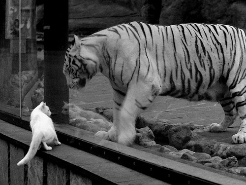 开云体育官网-皮克无争议荣膺全场最佳,巴黎球星绝杀苏格兰闪耀慈善赛