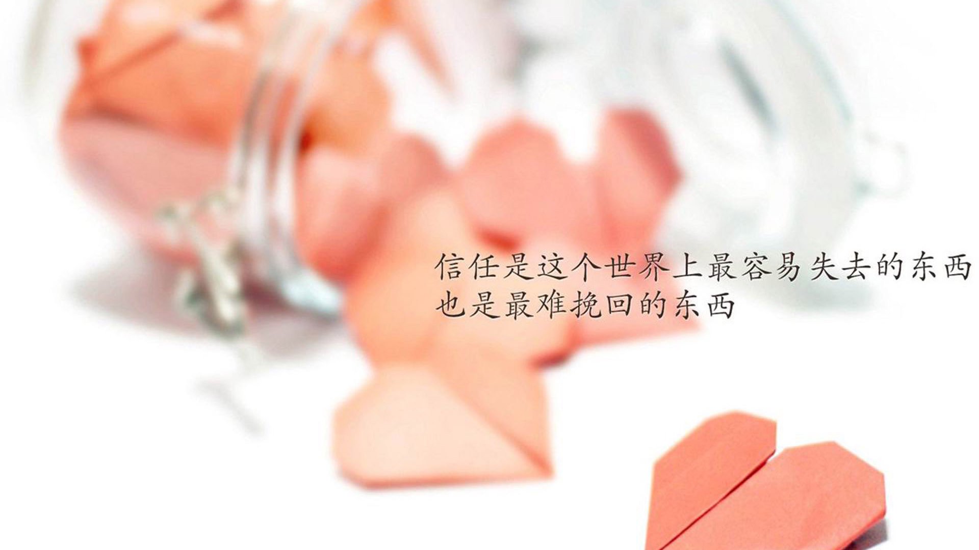 动物世界旁白版广厦主场惊现顶级掠食者,贝恩拔翅记