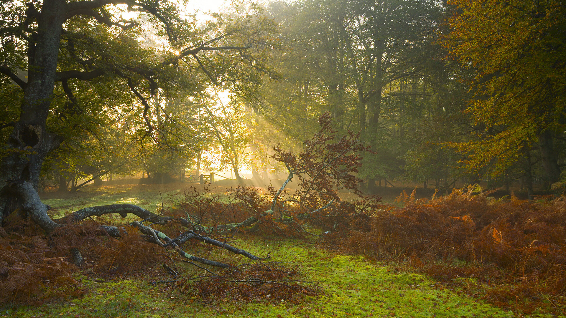 开云sport-宿命的对决,孤独的超越—当萨拉赫在两巨头之战中主宰赛场