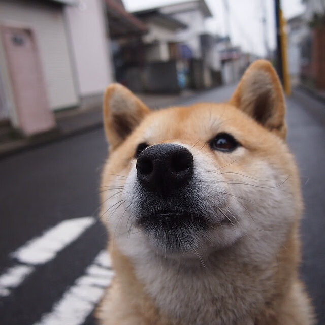 群枪与孤星，当瑞士的钢铁洪流遇见德布劳内的孤独焰火