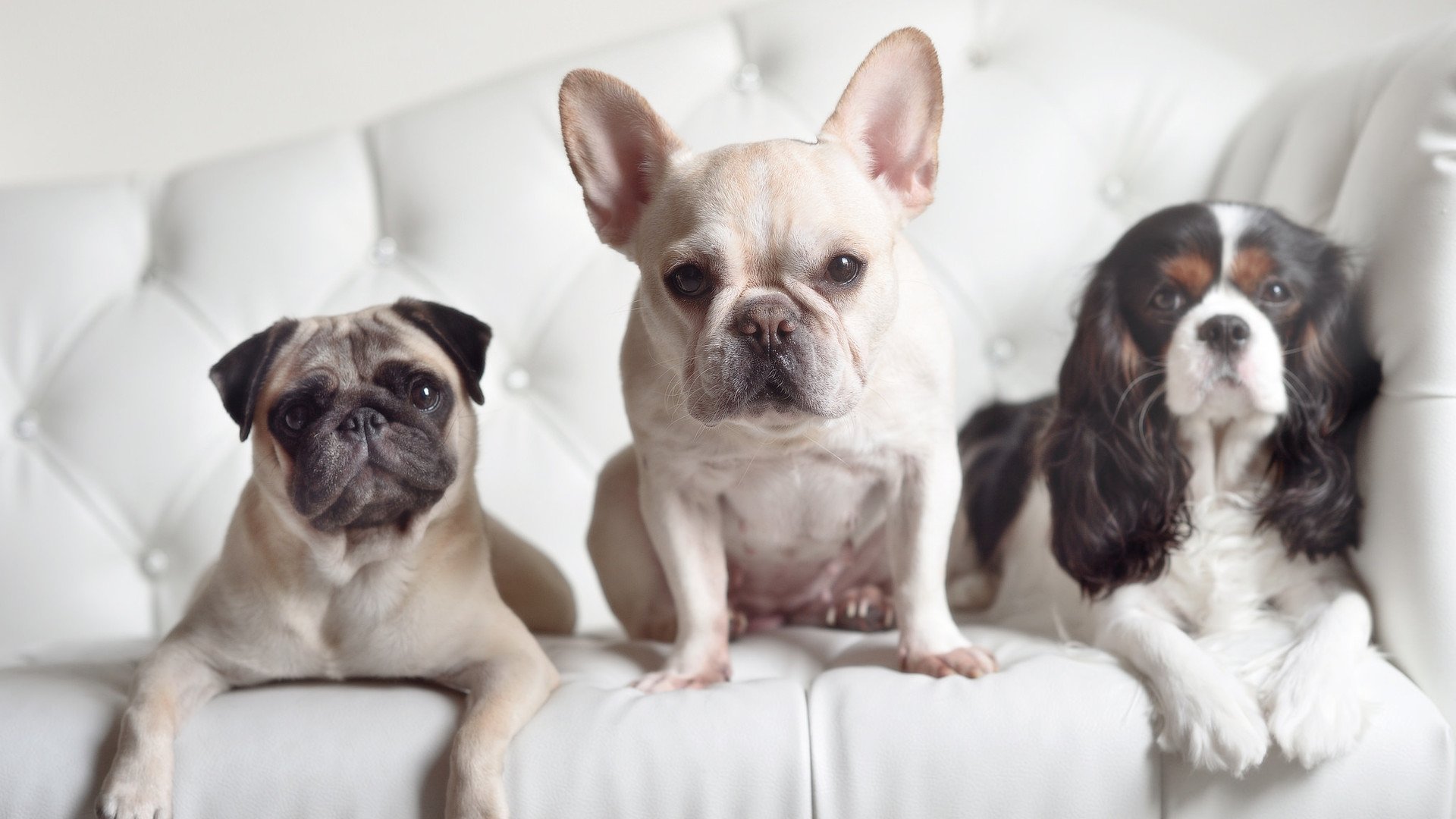 数据暴力映照双面传奇，勇士窒息节奏与东契奇无解三双