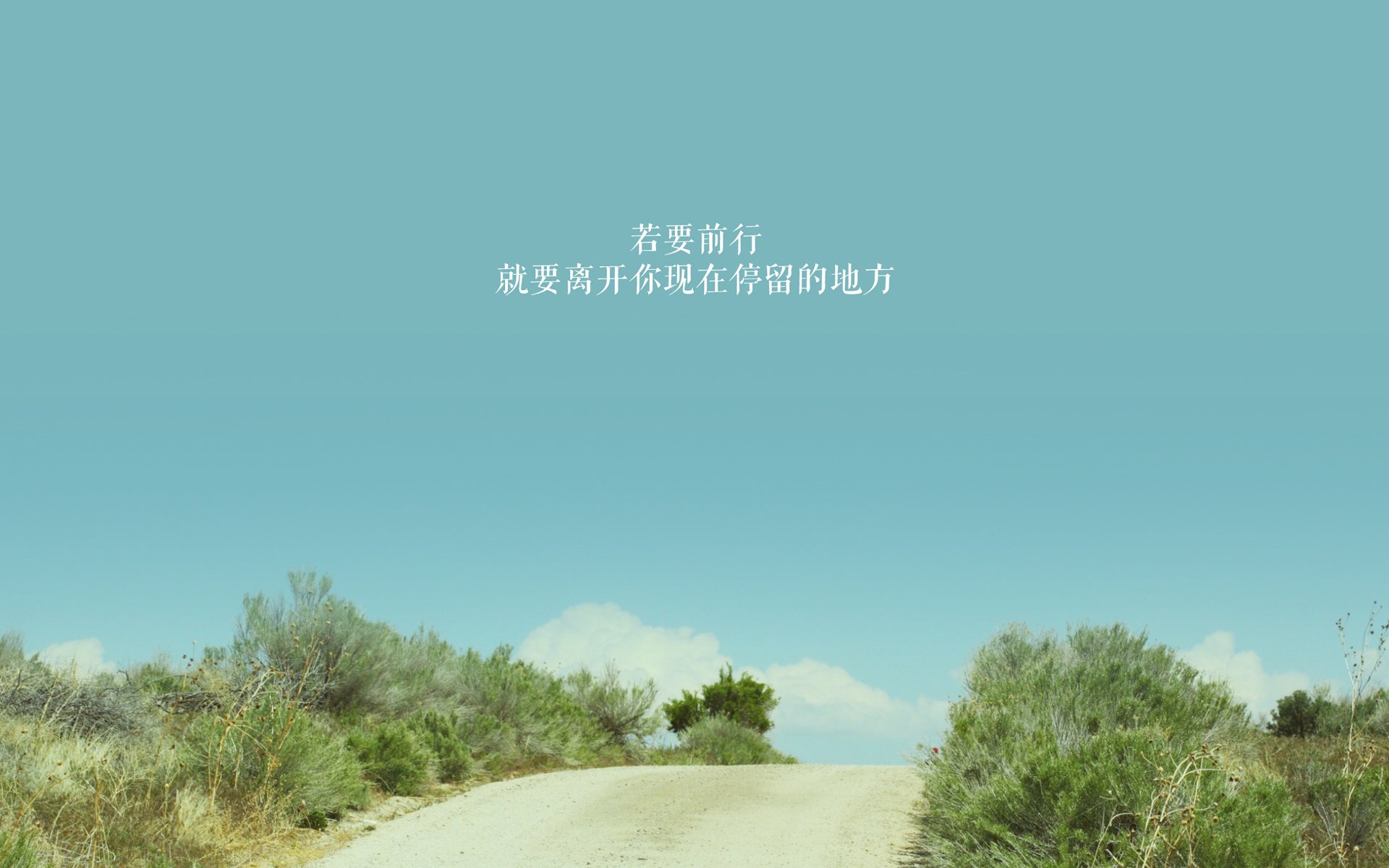 青春的马蹄踏碎金州，而鹈鹕的羽翼正掠过云端