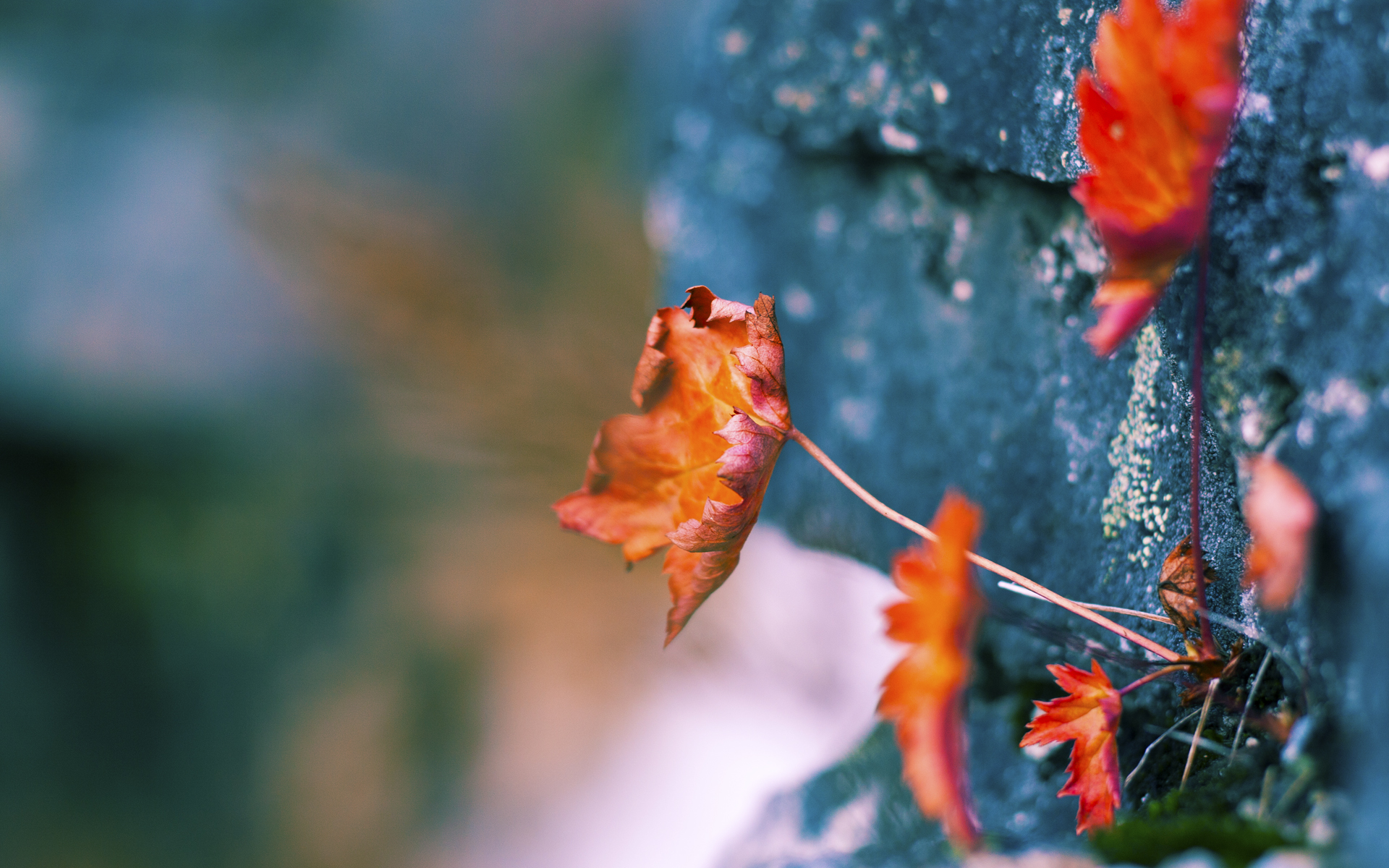 冰封三节，热浪终章，字母哥高压下的岩浆式爆发