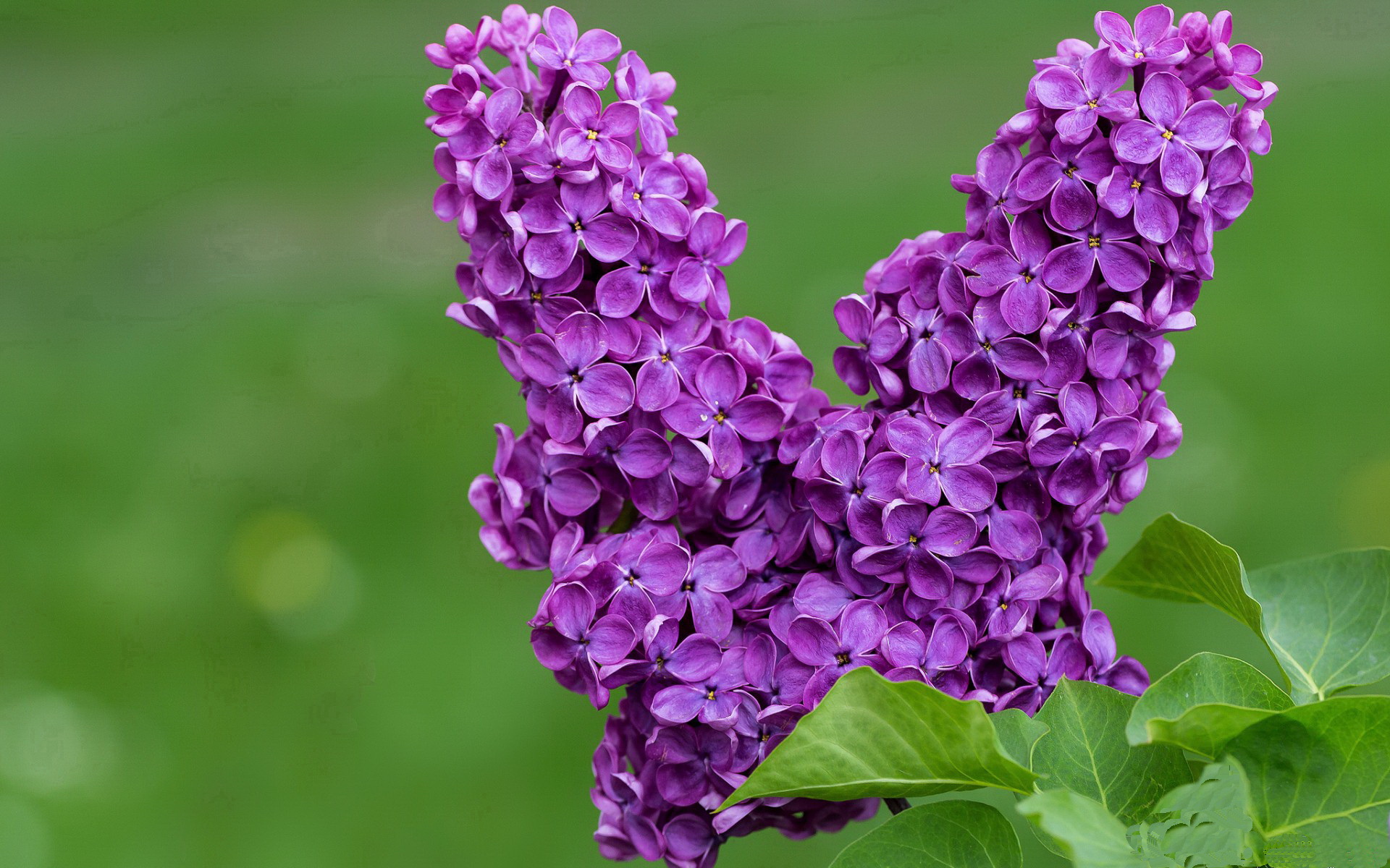 绿茵场上的第三节狂飙，当德甲争冠战遇上篮球式闪电战