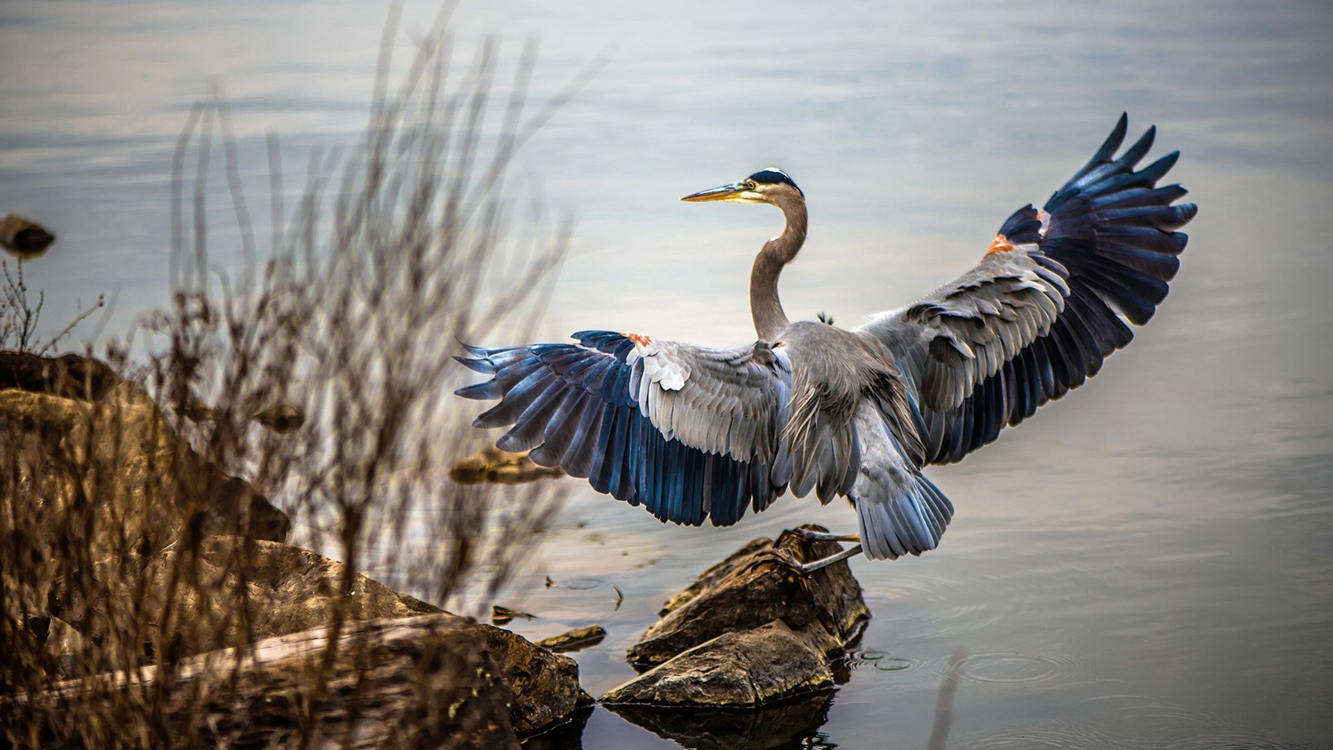 扩展思维后的文章标题