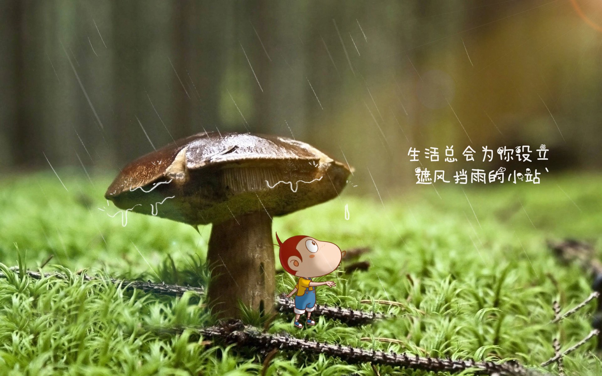 开云体育app-命悬一线的独奏，2026世界杯A组，努涅斯如何用一场不可复制的个人史诗，撕裂澳大利亚与尼日利亚的天平