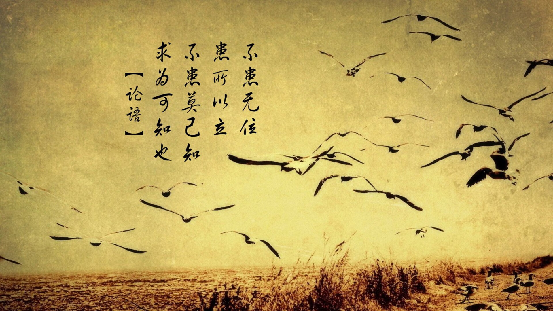 极北之光与热带风暴,2026世界杯B组,孙兴慜在北纬60度书写唯一性神话